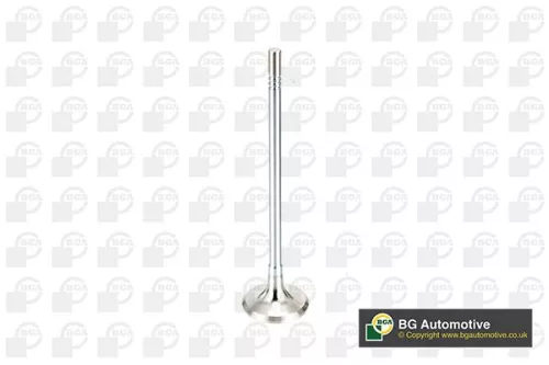 BGA Exhaust Valve (V165051)