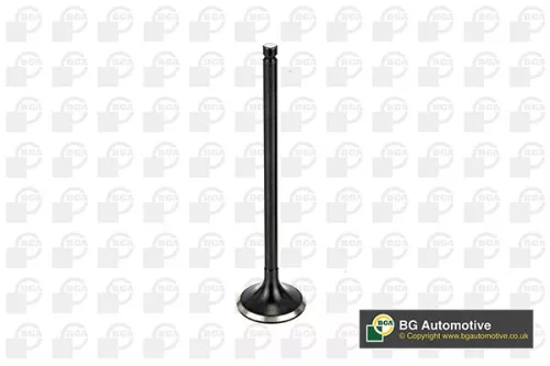 BGA Exhaust Valve (V165411)