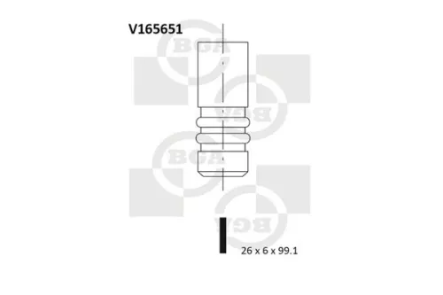Exhaust Valve