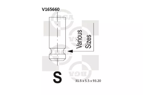 Intake Valve