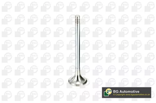 BGA Exhaust Valve (V165961)