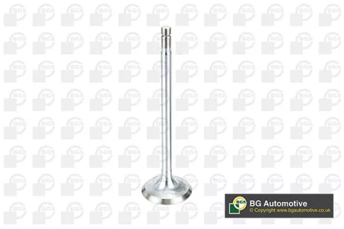 BGA Exhaust Valve (V166161)