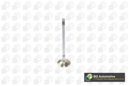BGA BGA V166200 Intake Valve 