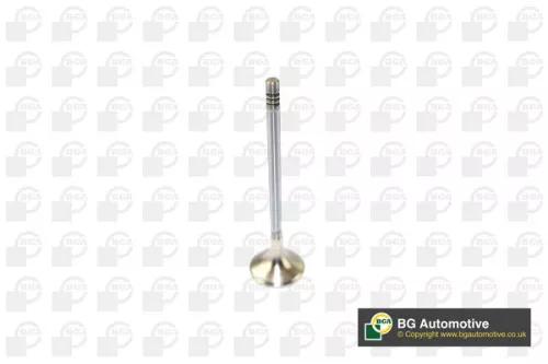 BGA Exhaust Valve (V166211)