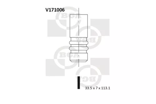 Intake Valve