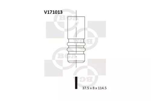 Intake Valve
