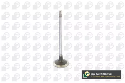 BGA BGA V222531 Intake Valve 
