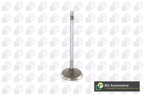 BGA BGA V229666 Intake Valve 