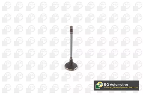 Intake Valve