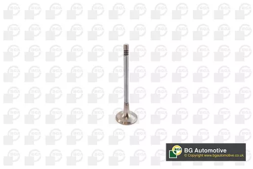 Exhaust Valve