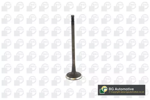 BGA BGA V236819 Intake Valve 