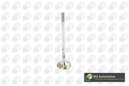 Exhaust Valve