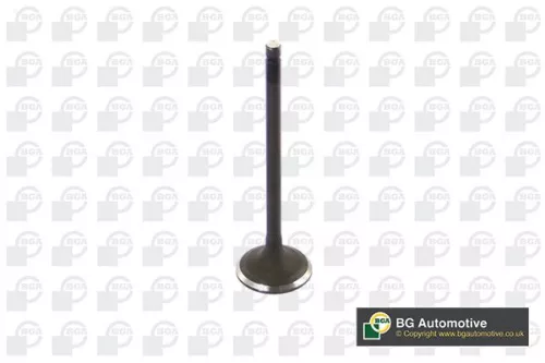 BGA BGA V254711 Intake Valve 
