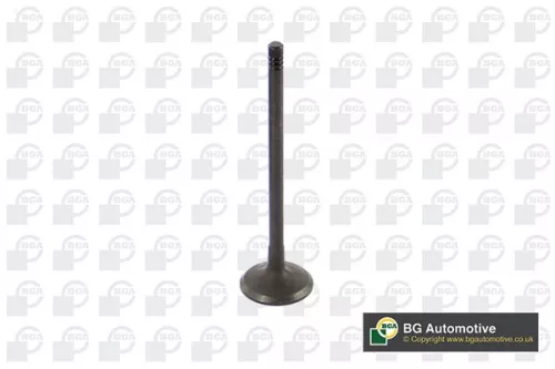 Intake Valve