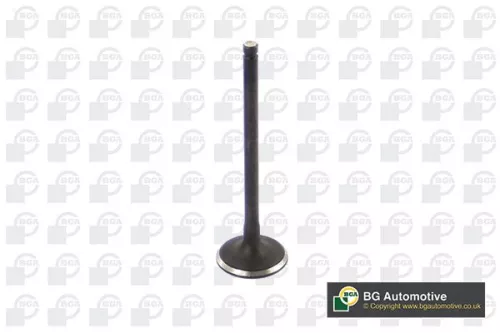 Intake Valve