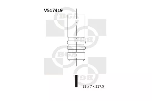 Intake Valve