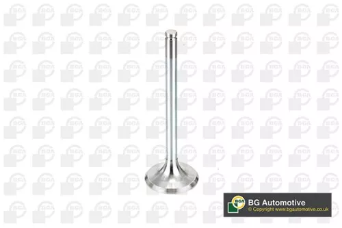 Intake Valve