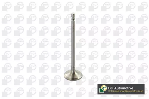 Intake Valve