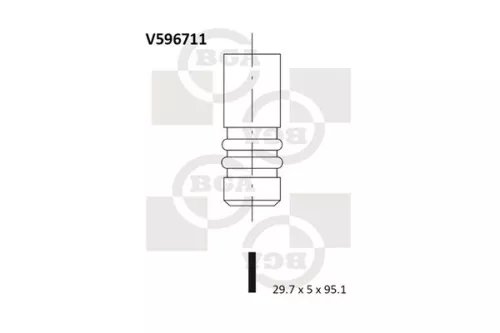 Intake Valve