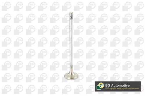 Exhaust Valve