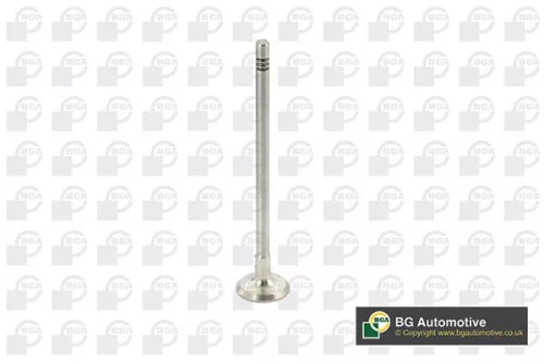Exhaust Valve
