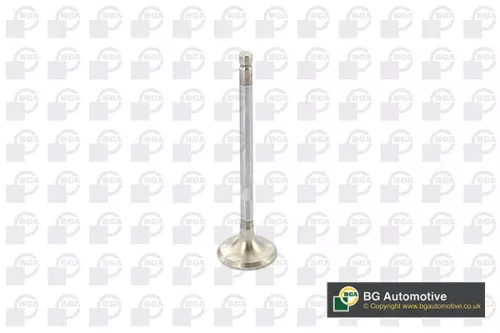 BGA Exhaust Valve (V851292)