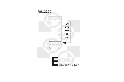 Intake Valve