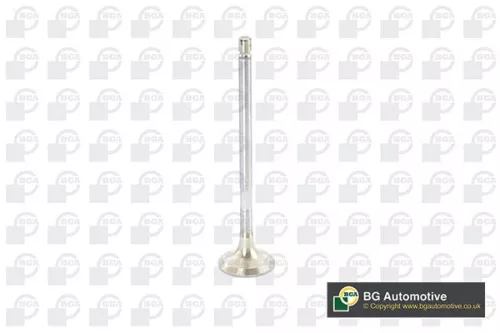 Exhaust Valve