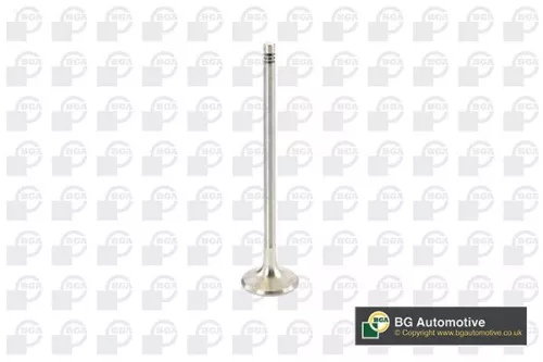 BGA Exhaust Valve (V969602)