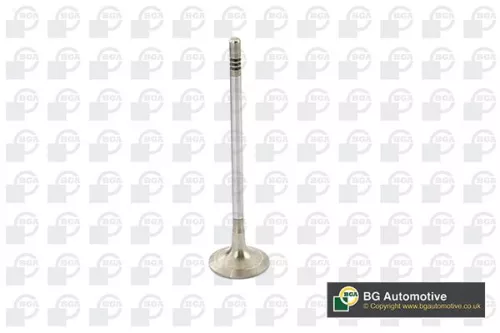 BGA Exhaust Valve (V969611)