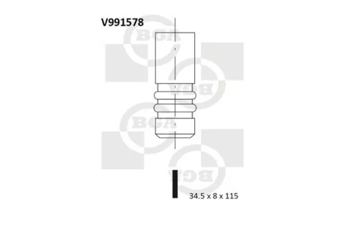 Exhaust Valve