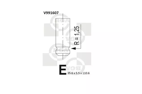 Intake Valve