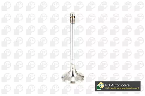 Exhaust Valve