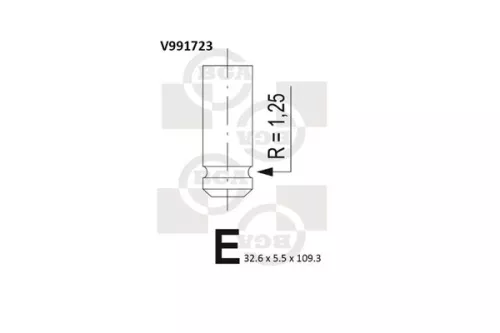 Intake Valve