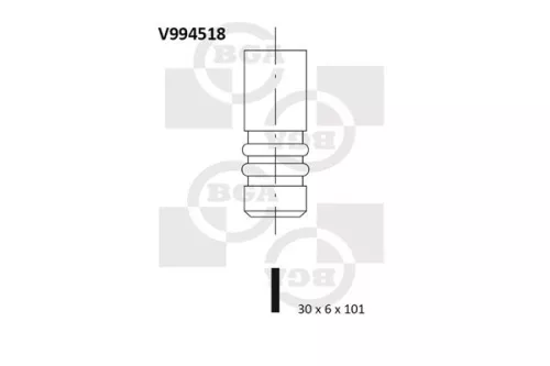 Exhaust Valve