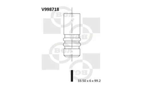 Intake Valve