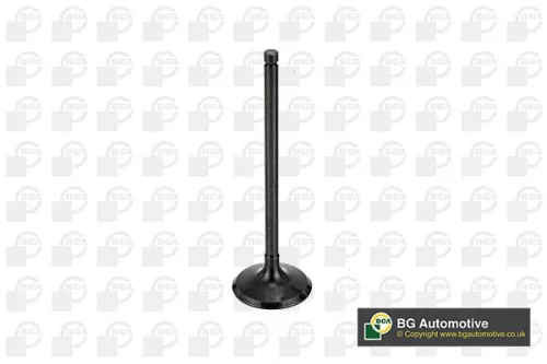 Intake Valve