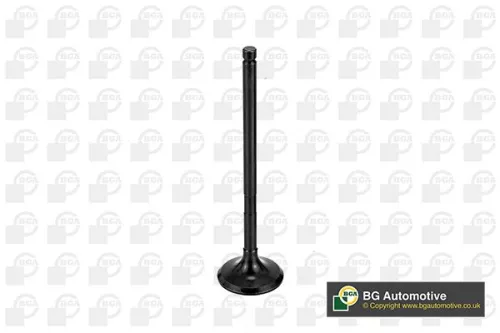 BGA Exhaust Valve (V998746)