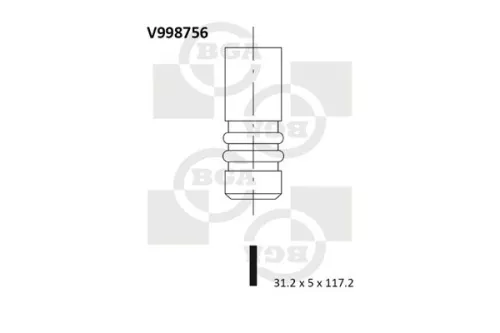Intake Valve