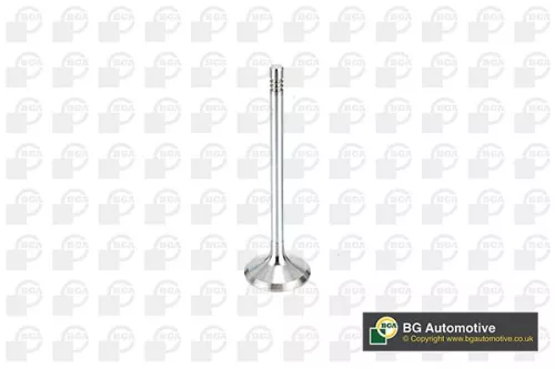 Intake Valve