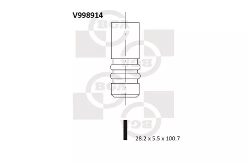 Intake Valve