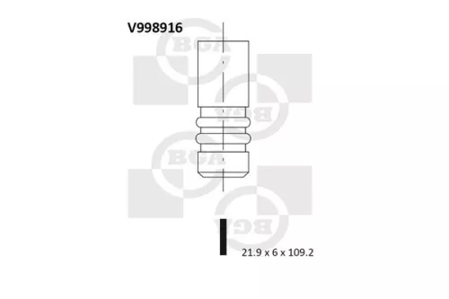 Intake Valve