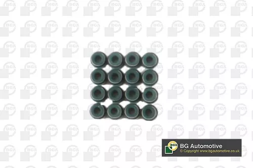 BGA BGA (VK4377) Seal Set, valve stem 