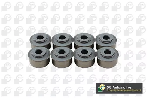 BGA BGA (VK6371) Seal Set, valve stem 