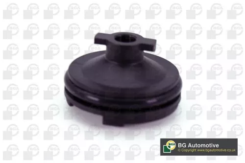 Screw Plug, oil sump