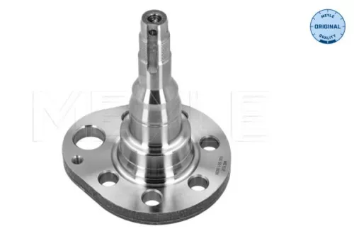 MEYLE Stub Axle, axle beam (100 501 0036)