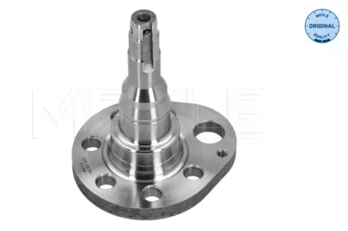 MEYLE Stub Axle, axle beam (100 501 0037)