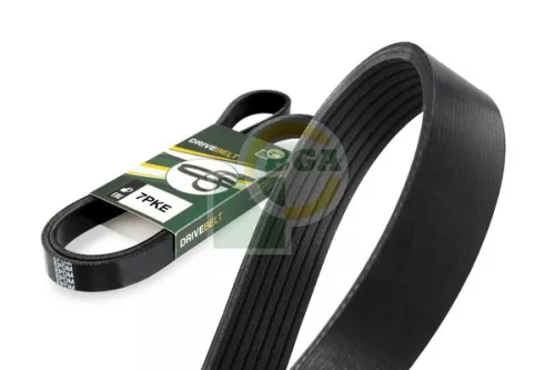 BGA V-Ribbed Belt (7PK1179E)