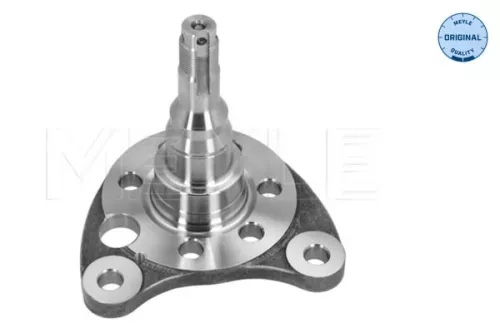 MEYLE Stub Axle, axle beam (100 501 0011)