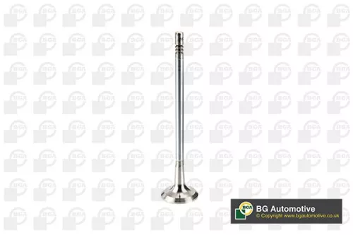 BGA Exhaust Valve (V200000)